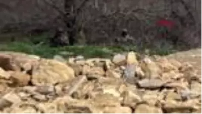 Edirne Valiliği Yunanistan, polis botumuza taciz ateşi açtı-ARŞİV Edirne Valiliği Yunanistan, polis botumuza taciz ateşi açtı-ARŞİV