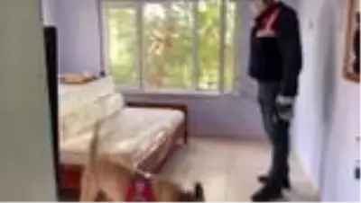Fuhuş operasyonunda yakalanan 9 zanlıdan 3'ü tutuklandı Fuhuş operasyonunda yakalanan 9 zanlıdan 3'ü tutuklandı