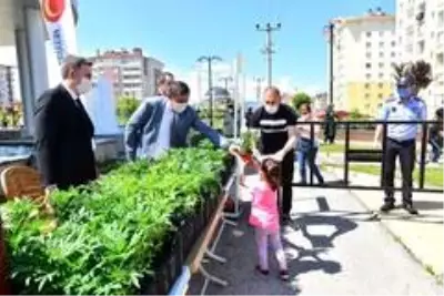 Kastamonu Belediyesi, çocuklara 15 bin çiçek fidesi dağıttı