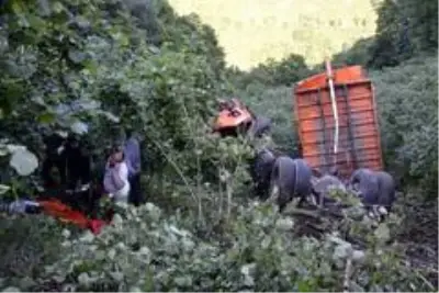 Kara yollarına ait kamyon 500 metrelik uçuruma yuvarlandı: 2 ölü, 3 yaralı Kara yollarına ait kamyon 500 metrelik uçuruma yuvarlandı: 2 ölü, 3 yaralı