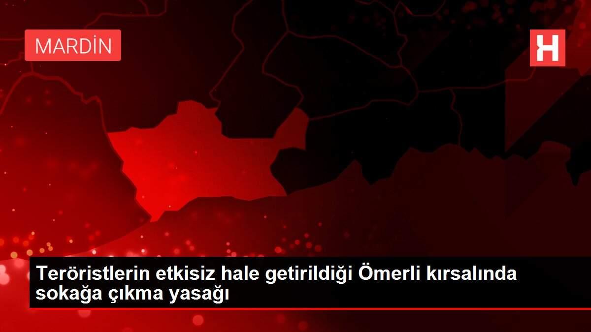 Teröristlerin etkisiz hale getirildiği Ömerli kırsalında sokağa çıkma yasağı