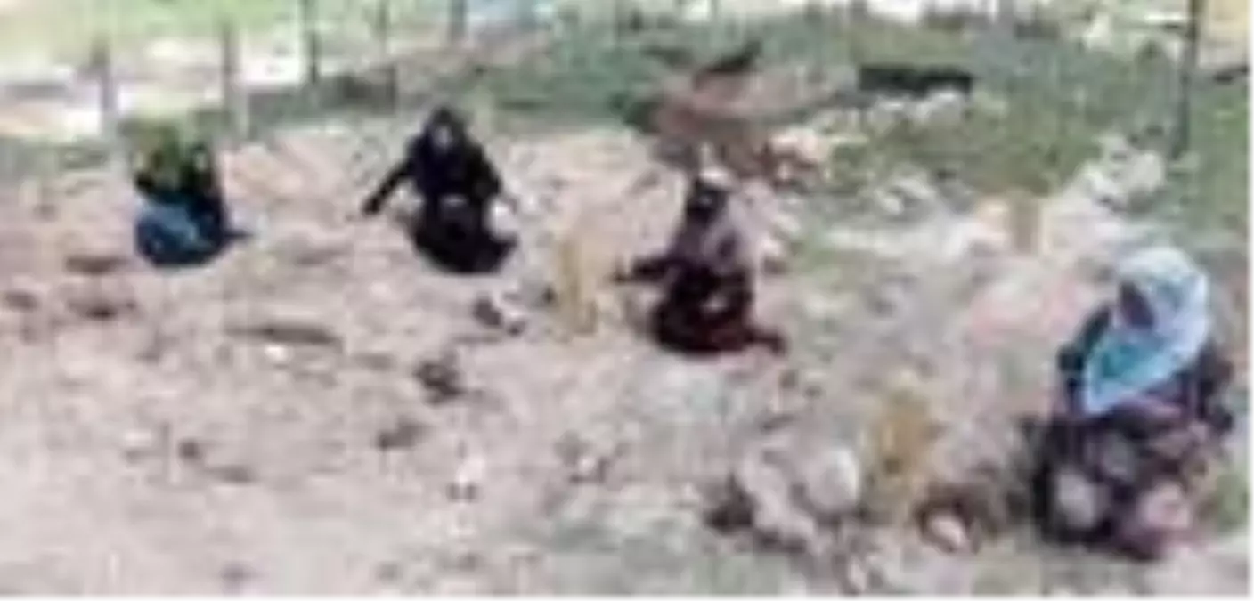 Erzurum'daki kız kaçırma kavgasında eşlerini kaybeden 4 kadın, katillerin idamını istedi