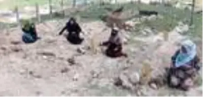 Erzurum'daki kız kaçırma kavgasında eşlerini kaybeden 4 kadın, katillerin idamını istedi Erzurum'daki kız kaçırma kavgasında eşlerini kaybeden 4 kadın, katillerin idamını istedi