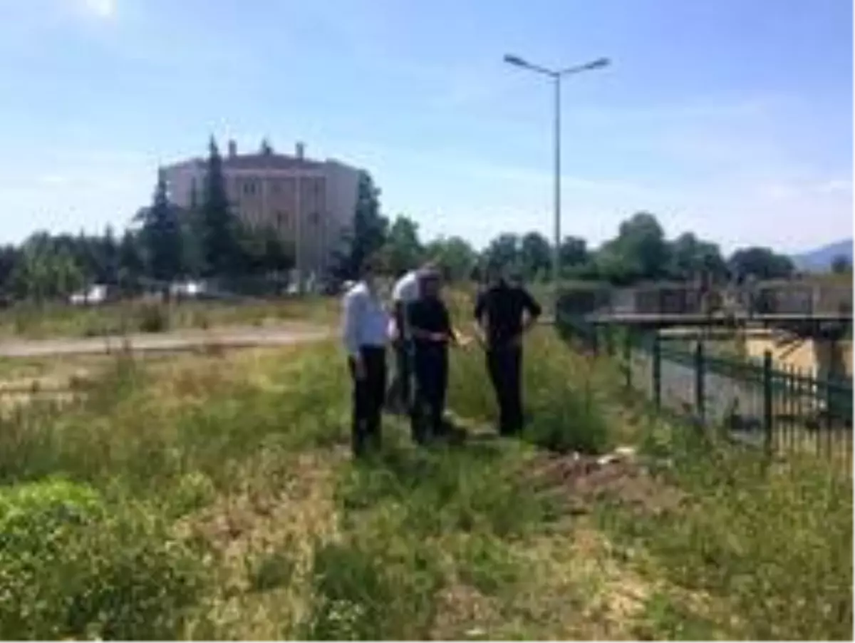 Asar ve Karaca derelerinde çalışma yapılacak