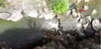 denizli cal kanyonu na turkiye nin en uzun asma koprulu yuruyus yolu yapilacak