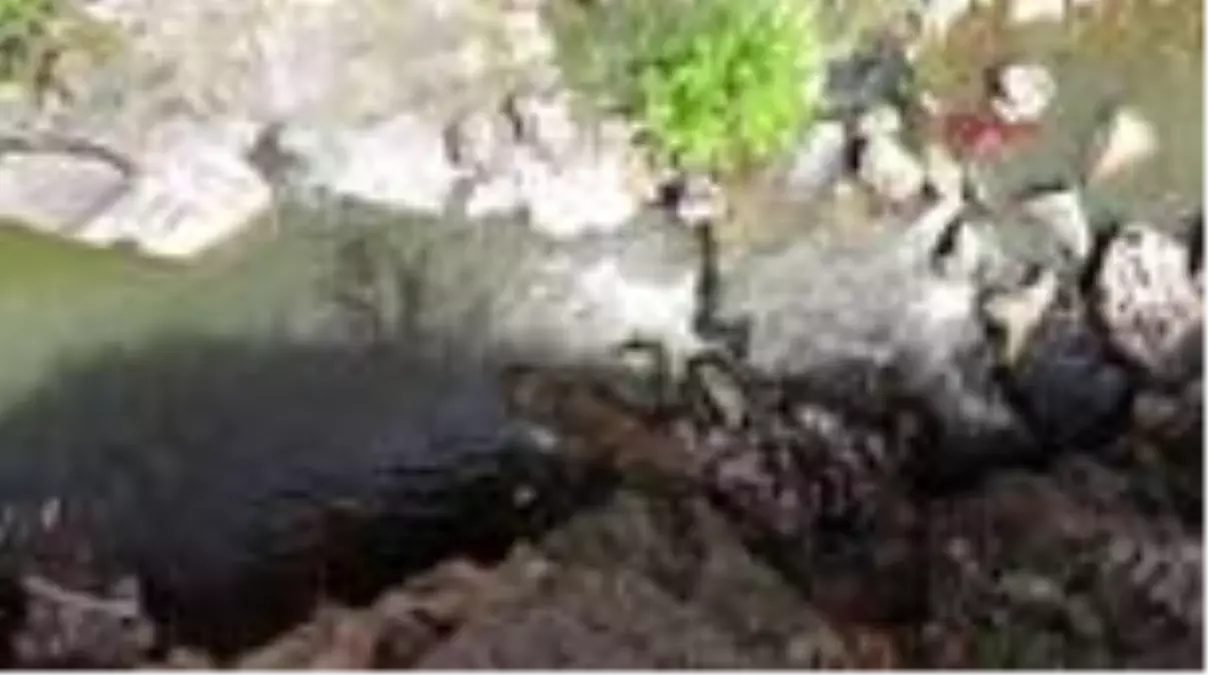 denizli cal kanyonu na turkiye nin en uzun asma koprulu yuruyus yolu yapilacak