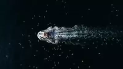 Film karesi gibi görüntülerle sardalye sezonu başladı
