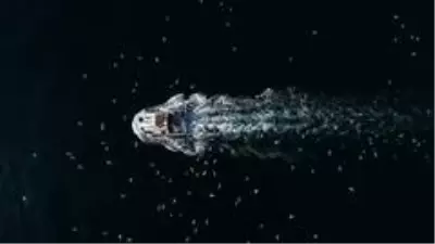 Film karesi gibi görüntülerle sardalye sezonu başladı