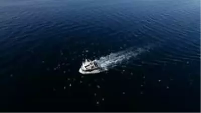Film karesi gibi görüntülerle sardalye sezonu başladı