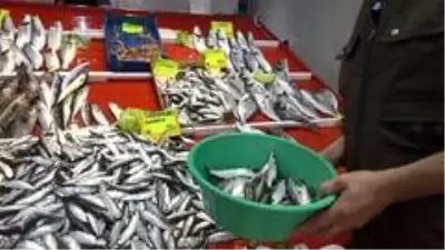 Film karesi gibi görüntülerle sardalye sezonu başladı
