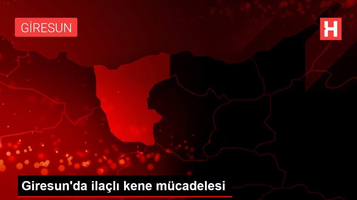 Giresun'da ilaçlı kene mücadelesi Giresun'da ilaçlı kene mücadelesi