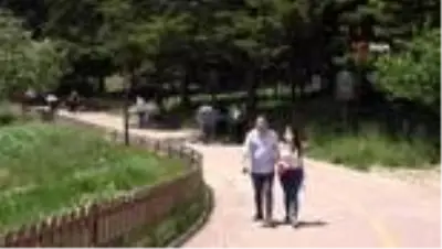 Golcuk Tabiat Parki Nda Beklenen Yogunluk Yasanmadi Haber