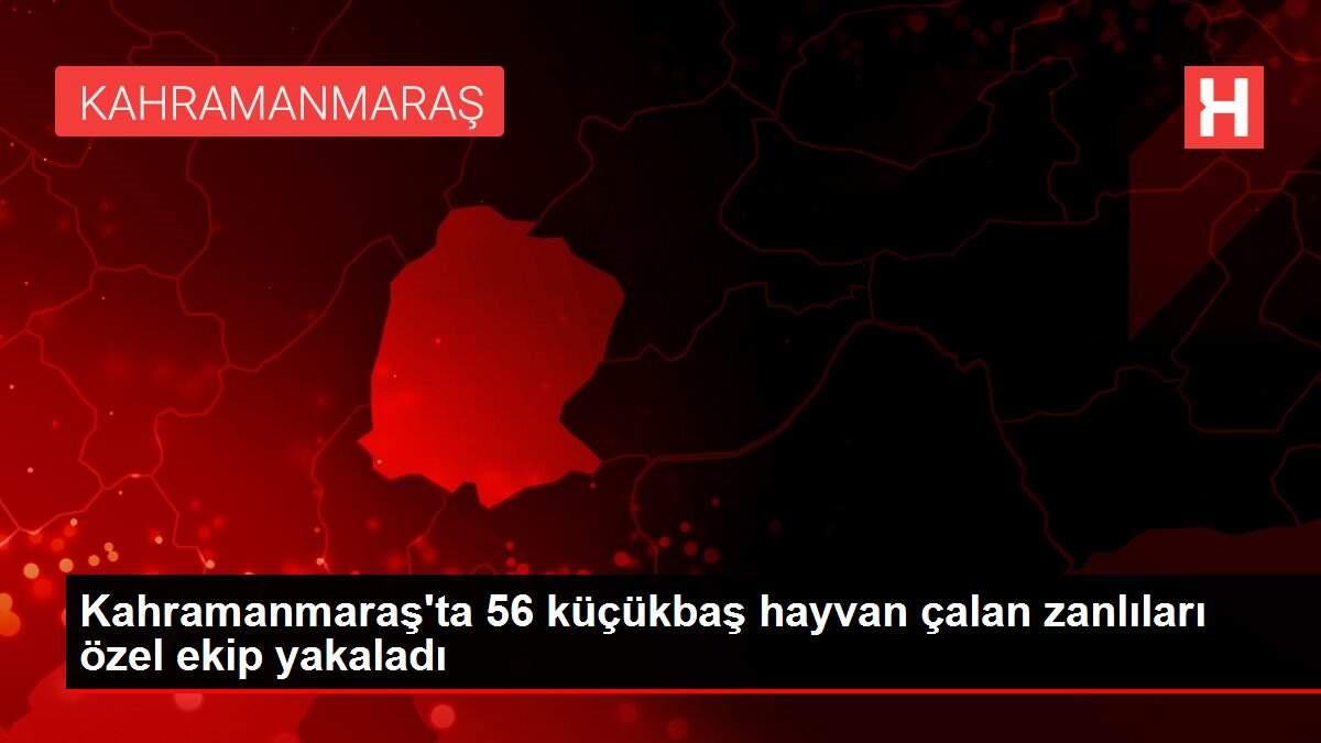 Kahramanmaras Ta 56 Kucukbas Hayvan Calan Zanlilari Ozel Ekip Yakaladi Kahramanmaras
