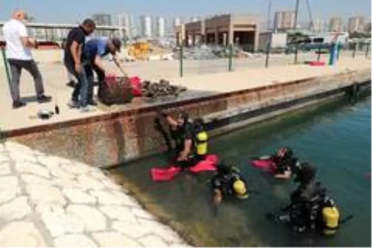 Mersin'de dalgıç polisler sualtı dip temizliği yaptı