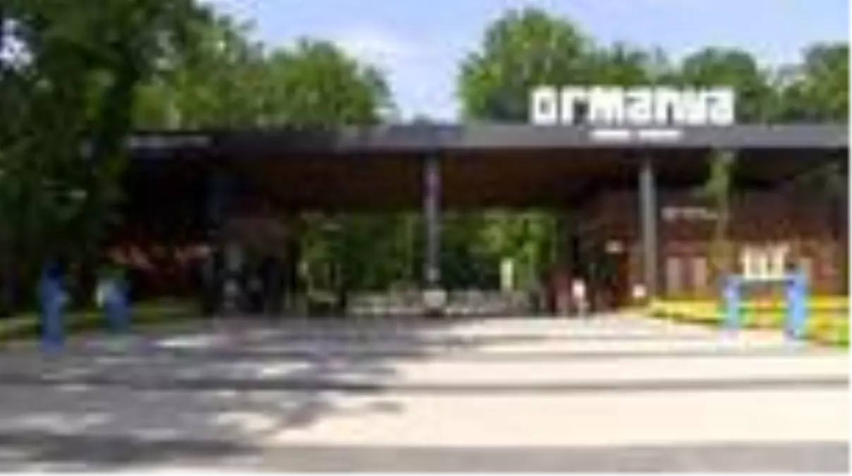 Ormanya kapılarını yeniden ziyaretçilere açtı