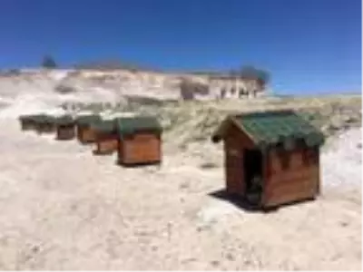 Çiftlik Belediye Başkanı Serkan Güzel, kullanılmayan araziye 65 oyuk açtırarak 'Köpek Köyü' kurdu Çiftlik Belediye Başkanı Serkan Güzel, kullanılmayan araziye 65 oyuk açtırarak 'Köpek Köyü' kurdu