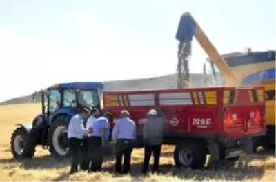 Sungurlu'da ilk arpa hasadı yapıldı Sungurlu'da ilk arpa hasadı yapıldı