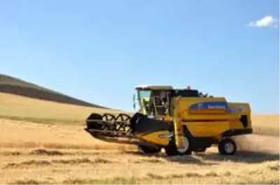 Sungurlu'da ilk arpa hasadı yapıldı Sungurlu'da ilk arpa hasadı yapıldı