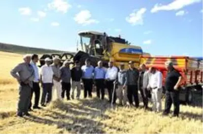 Sungurlu'da ilk arpa hasadı yapıldı Sungurlu'da ilk arpa hasadı yapıldı