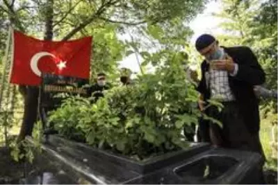 Abdurrahim Karakoç vefatının 8. yılında kabri başında anıldı Abdurrahim Karakoç vefatının 8. yılında kabri başında anıldı