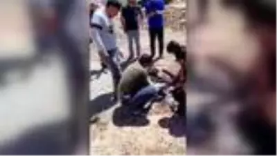 Alanya'da yol yapımı için dökülen zifte yapışan oğlak kurtarıldı Alanya'da yol yapımı için dökülen zifte yapışan oğlak kurtarıldı