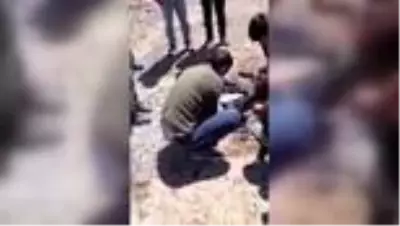 Alanya'da yol yapımı için dökülen zifte yapışan oğlak kurtarıldı Alanya'da yol yapımı için dökülen zifte yapışan oğlak kurtarıldı