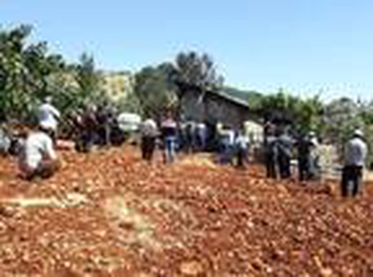 Bağ evinde çıkan yangında öldü
