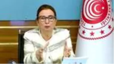 Bakan Pekcan, başkanlığında gerçekleştirilen 14. İstişare Kurulu toplantısında konuştu Bakan Pekcan, başkanlığında gerçekleştirilen 14. İstişare Kurulu toplantısında konuştu