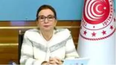 Bakan Pekcan, başkanlığında gerçekleştirilen 14. İstişare Kurulu toplantısında konuştu Bakan Pekcan, başkanlığında gerçekleştirilen 14. İstişare Kurulu toplantısında konuştu