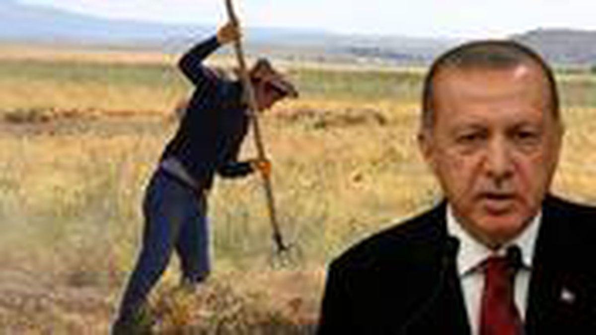Erdoğan talimat verdi, çalışmalar tamamlandı! Çiftçiye hazineden ücretsiz arazi verilecek