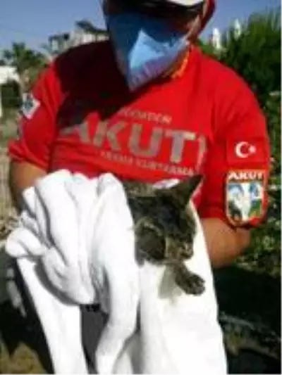 Fayansı kırıp, boruyu delerek yavru kediyi kurtardılar Fayansı kırıp, boruyu delerek yavru kediyi kurtardılar