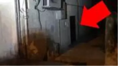 Bodrum kattaki alkollü eğlencede 24 kişiye 66 bin lira para cezası kesildi Bodrum kattaki alkollü eğlencede 24 kişiye 66 bin lira para cezası kesildi