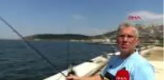Yaşar Çelik: İZMİR Hafta sonu kısıtlamasını kalktığı İzmir'de sahil ve açık alanlar doldu Yaşar Çelik: İZMİR Hafta sonu kısıtlamasını kalktığı İzmir'de sahil ve açık alanlar doldu
