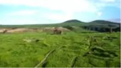 Türkiye'nin antik kentleri ziyaretçilerini bekliyor - KARS/BİTLİS/ Türkiye'nin antik kentleri ziyaretçilerini bekliyor - KARS/BİTLİS/