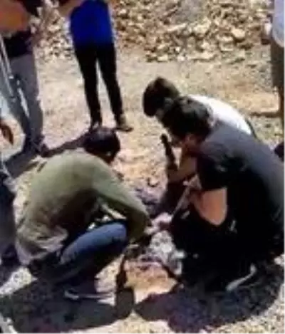 Zifte yapışan oğlağı vatandaşlar kurtardı Zifte yapışan oğlağı vatandaşlar kurtardı