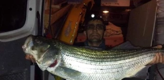 ABD'de balık tutmak için denize açılan Aksoy'un cansız bedenine 4 gün sonra ulaşıldı