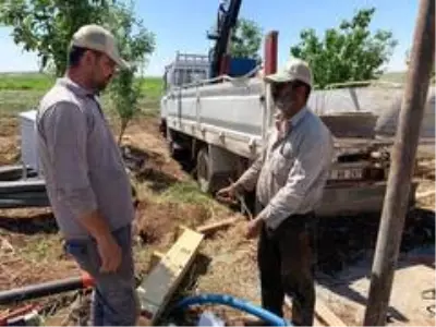Dut ağacının dalıyla tarlayı suya kavuşturuyor