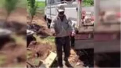 Dut ağacının dalıyla tarlayı suya kavuşturuyor
