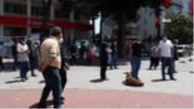 Pazarcılardan Ünye Belediyesi'ne tepki Pazarcılardan Ünye Belediyesi'ne tepki
