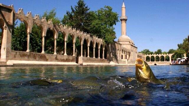 Şanlıurfa gezi rehberi