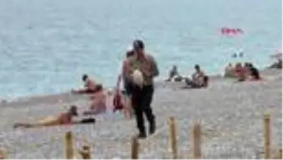 ANTALYA Yavru deniz kaplumbağası ölüsü sahile vurdu ANTALYA Yavru deniz kaplumbağası ölüsü sahile vurdu