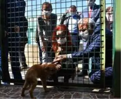 Başkan Zorluoğlu'ndan 'Her siteye ve bahçeye bir köpek' önerisi Başkan Zorluoğlu'ndan 'Her siteye ve bahçeye bir köpek' önerisi