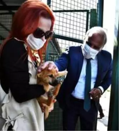 Başkan Zorluoğlu'ndan 'Her siteye ve bahçeye bir köpek' önerisi Başkan Zorluoğlu'ndan 'Her siteye ve bahçeye bir köpek' önerisi