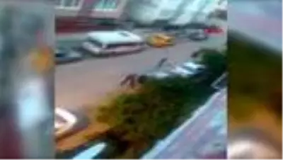 Bursa'da 1 kişinin öldüğü park kavgası kamerada Bursa'da 1 kişinin öldüğü park kavgası kamerada