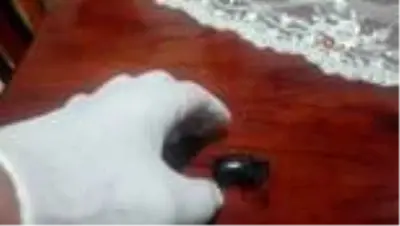 Evinin balkonunda buldu sır gibi saklıyor Evinin balkonunda buldu sır gibi saklıyor