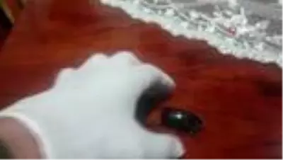 Evinin balkonunda buldu sır gibi saklıyor Evinin balkonunda buldu sır gibi saklıyor
