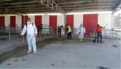 Son dakika haberleri! Hayvan pazarı yeniden açılıyor Son dakika haberleri! Hayvan pazarı yeniden açılıyor