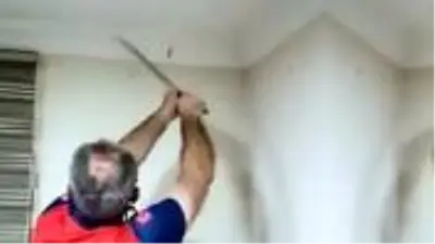 Kesilen kartonpiyerin içinden 1,5 metre uzunluğunda yılan çıktı Kesilen kartonpiyerin içinden 1,5 metre uzunluğunda yılan çıktı