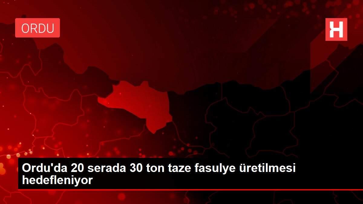 Ordu'da 20 serada 30 ton taze fasulye üretilmesi hedefleniyor
