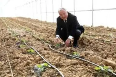 Ordu'da ilçeler üretim merkezi oldu